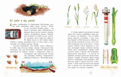 Подсмотрено у природы, производитель Настя и Никита , ISBN 978-5-90812-925-1 № 2