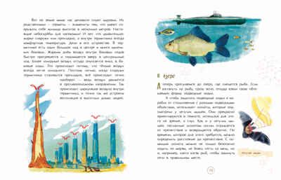 Подсмотрено у природы, производитель Настя и Никита , ISBN 978-5-90812-925-1 № 3