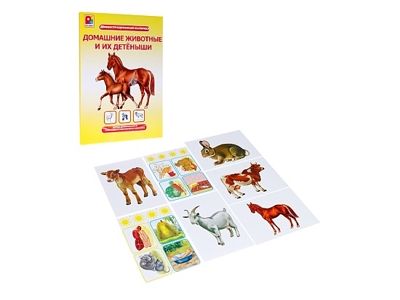 Игра настольно-печатная Домашние животные и их детёныши. Демонстрационный материал, арт. С-962, производитель Радуга, ISBN 466-0-00701-414-9 № 1