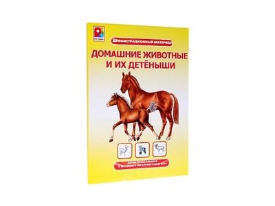 Игра настольно-печатная Домашние животные и их детёныши. Демонстрационный материал, арт. С-962, производитель Радуга, ISBN 466-0-00701-414-9 № 2