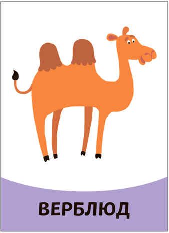 Развивающие карточки. Набор из 5, производитель МОЗАИКА kids , ISBN 978-5-43153-666-3 № 4