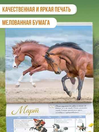 Календарь Лошади мира 2026 год, производитель АСТ , ISBN 978-5-17173-957-7 № 3