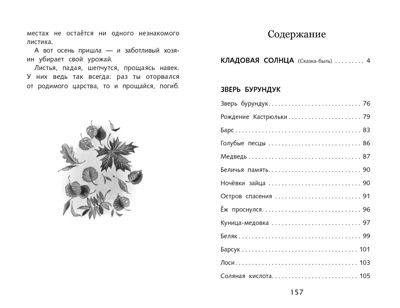 Кладовая солнца. Пришвин М. М. Школьная программа, производитель Стрекоза , ISBN 978-5-99515-172-2 № 5