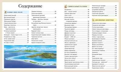 Детская энциклопедия про всё на свете, производитель Махаон , ISBN 978-5-38925-364-3 № 2