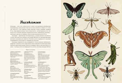 Анималиум. Энциклопедии, производитель Махаон , ISBN 978-5-38907-499-6 № 4