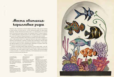 Анималиум. Энциклопедии, производитель Махаон , ISBN 978-5-38907-499-6 № 7
