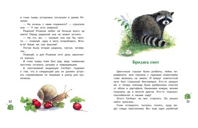 Гном из водосточной трубы. Дрешер Д., производитель Стрекоза , ISBN 978-5-99515-205-7 № 4