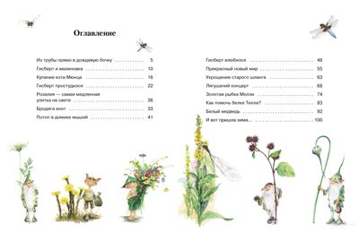 Гном из водосточной трубы. Дрешер Д., производитель Стрекоза , ISBN 978-5-99515-205-7 № 5