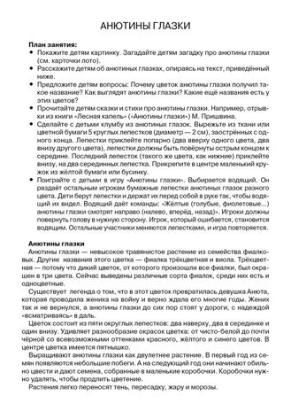 Садовые цветы. Наглядно-дидактический материал в папках ФГОС, производитель Стрекоза , ISBN 978-5-99515-452-5 № 3