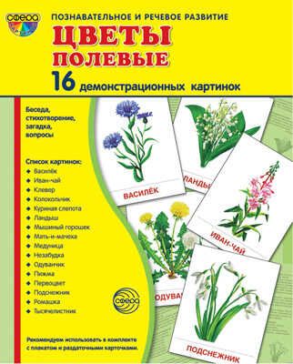 Демонстрационные картинки СУПЕР. Цветы полевые. 16 демонстрационных картинок с текстом, производитель Сфера ТЦ , ISBN 978-5-99493-639-9 № 1