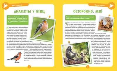 Невероятные животные, производитель Махаон , ISBN 978-5-38927-502-7 № 2