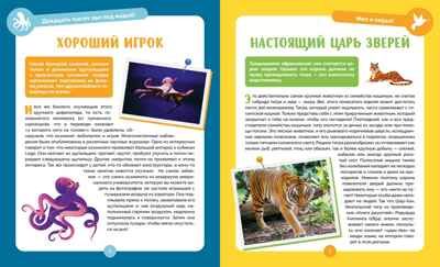 Невероятные животные, производитель Махаон , ISBN 978-5-38927-502-7 № 3