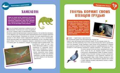 Невероятные животные, производитель Махаон , ISBN 978-5-38927-502-7 № 4