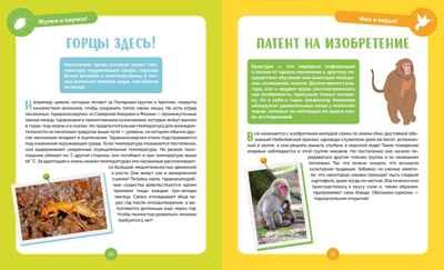 Невероятные животные, производитель Махаон , ISBN 978-5-38927-502-7 № 6