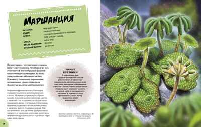 Эра динозавров. Жизнь в доисторические времена. Гибберт К., Фаркас Р. Энциклопедии, производитель Махаон , ISBN 978-5-38917-690-4 № 4