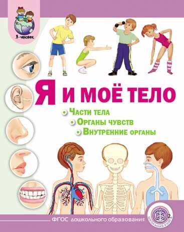 Я и моё тело: Части тела. Органы чувств. Внутренние органы. Дурова И.В., производитель Школьная Книга , ISBN 978-5-00013-178-7 № 1