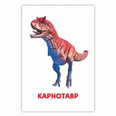 Развивающие карточки. Динозавры, производитель Проф-Пресс , ISBN 467-0-15914-511-0 № 3