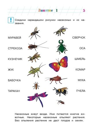 Изучаю мир вокруг: для детей 5-6 лет. Часть 2. Егупова В.А. Ломоносовская школа, производитель Эксмо , ISBN 978-5-69966-001-8 № 6