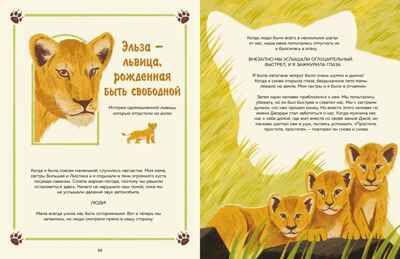 Животные-супергерои. Непридуманные истории для детей, производитель Махаон , ISBN 978-5-38927-506-5 № 6