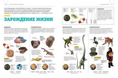 Гигантская энциклопедия динозавров, производитель Махаон , ISBN 978-5-38921-324-1 № 4