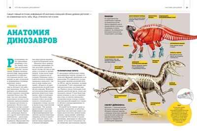 Гигантская энциклопедия динозавров, производитель Махаон , ISBN 978-5-38921-324-1 № 6