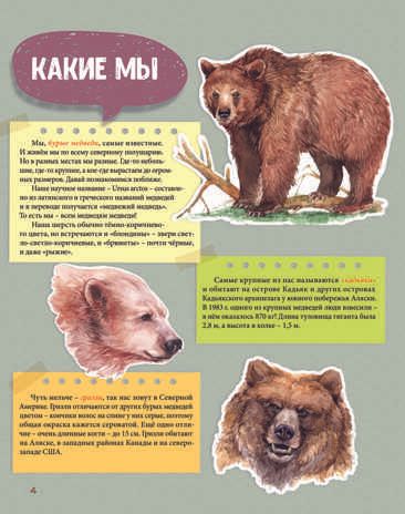 Мы - Медведи. Куприкова Е. Занимательная зоология, производитель Питер , ISBN 978-5-00116-229-2 № 4