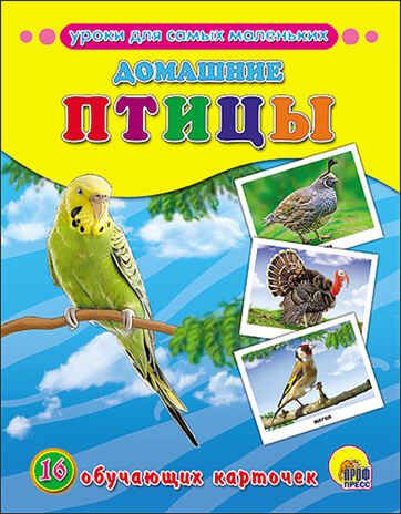 Домашние птицы (Серия: Обучающие карточки), арт.43822, производитель Проф-Пресс , ISBN 978-5-37826-309-7 № 1