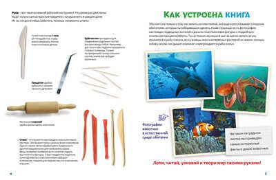 Лепим из пластилина акулу, осьминога и рыбу-клоуна, производитель АСТ Пресс , ISBN 978-5-60452-006-2 № 4
