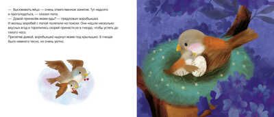 Братишка для воробьишки. Райдер Катя. Книжки-картонки, производитель Клевер (Clever) , ISBN 978-5-00115-964-3 № 3