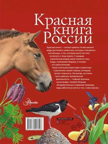 Красная книга России. Пескова И.М., Смирнова С.В., производитель АСТ , ISBN 978-5-17091-649-8 № 2