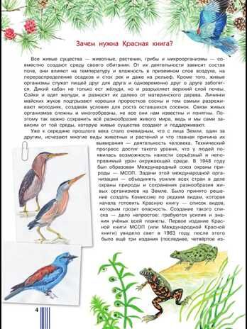 Красная книга России. Пескова И.М., Смирнова С.В., производитель АСТ , ISBN 978-5-17091-649-8 № 6