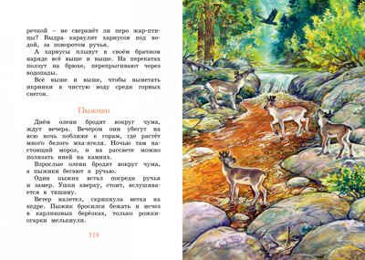 Беспокойный хвостик. Снегирёв Г. Яркая ленточка, производитель Махаон , ISBN 978-5-38918-808-2 № 6