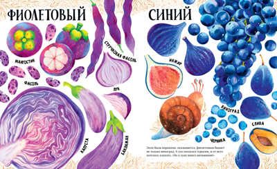 Приключения улитки Элли в мире фруктов и овощей. Константиновская О. Первые книжки малыша, производитель Клевер (Clever) , ISBN 978-5-00154-778-5 № 5