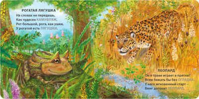 Книжки - картонки. Загадки - рифмы. Животные - невидимки, производитель Робинс , ISBN 978-5-43660-892-1 № 2