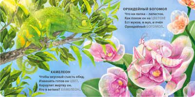 Книжки - картонки. Загадки - рифмы. Животные - невидимки, производитель Робинс , ISBN 978-5-43660-892-1 № 3
