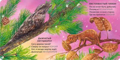 Книжки - картонки. Загадки - рифмы. Животные - невидимки, производитель Робинс , ISBN 978-5-43660-892-1 № 4