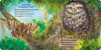 Книжки - картонки. Загадки - рифмы. Животные - невидимки, производитель Робинс , ISBN 978-5-43660-892-1 № 7