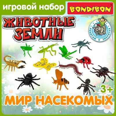 Набор насекомых ребятам о зверятах, 12 шт., арт. ВВ6475, производитель Bondibon (Бондибон), ISBN 466-0-12005-221-9 № 5