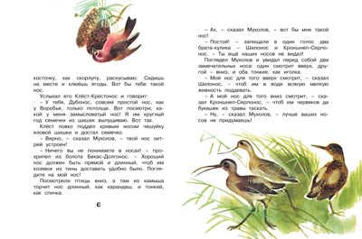 Как муравьишка домой спешил (Рисунки Т. Васильевой). Бианки В. Детская классика с тканевым корешком, производитель Махаон , ISBN 978-5-38912-124-9 № 2