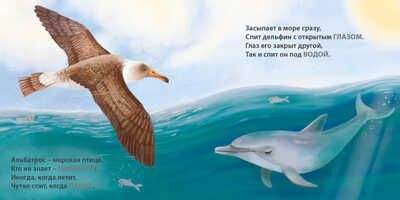Книжки - картонки. Загадки - рифмы. Кто как спит, производитель Робинс , ISBN 978-5-43660-875-4 № 5