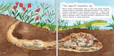 Где живут животные. Альгарра А., производитель Русское слово , ISBN 978-5-53301-115-0 № 3