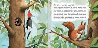 Где живут животные. Альгарра А., производитель Русское слово , ISBN 978-5-53301-115-0 № 4