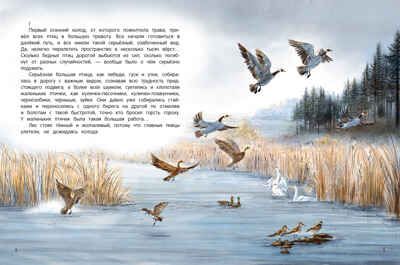 Серая Шейка (иллюстр.), производитель «Феникс-Премьер», ISBN 978-5-22244-652-2 № 2