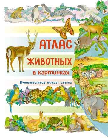 Атлас животных в картинках. Путешествие вокруг света, производитель Махаон , ISBN 978-5-38923-516-8 № 1
