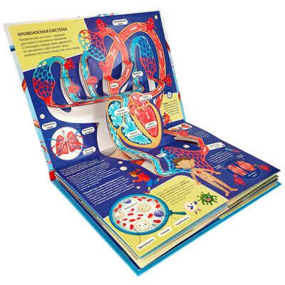 3D энциклопедия-панорамка. Анатомия, производитель Malamalama (Маламалама), ISBN 978-5-00134-540-4 № 2