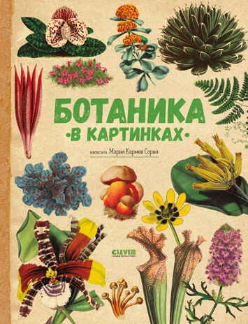 Удивительные энциклопедии. Ботаника в картинках Сория К., производитель Клевер (Clever) , ISBN 978-5-00252-049-7 № 1