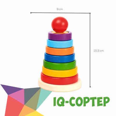 Пирамидка-головоломка IQ-СОРТЕР, арт. ВВ5765, производитель Bondibon (Бондибон), ISBN 489-5-13606-214-7 № 6