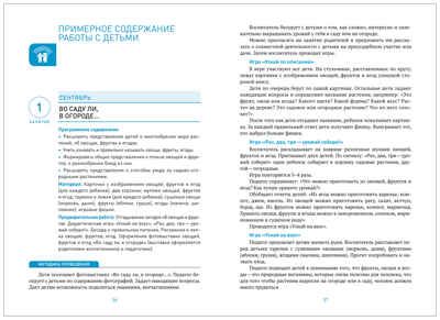Ознакомление с природой в детском саду. Старшая группа. 5-6 лет. ФГОС. ФОП, производитель МОЗАИКА-СИНТЕЗ , ISBN 978-5-43154-289-3 № 3