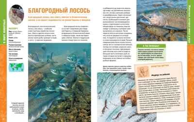 В мире животных. Пратези Ф., Пратези И. Энциклопедии, производитель Махаон , ISBN 978-5-38913-685-4 № 6
