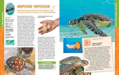 В мире животных. Пратези Ф., Пратези И. Энциклопедии, производитель Махаон , ISBN 978-5-38913-685-4 № 7